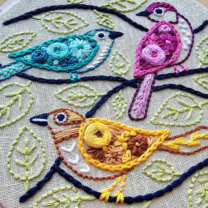 Colorful Birds Embroidery Kit