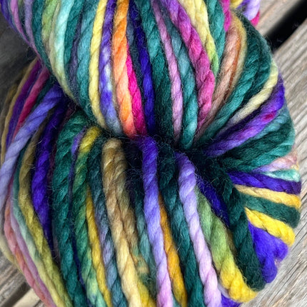 Koigu Othello (chunky merino)