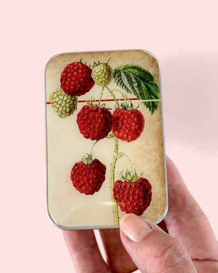 Firefly Notions Tins - Large