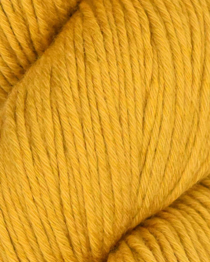 Alga