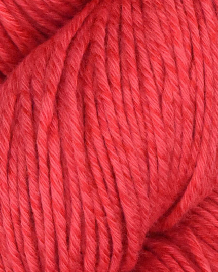 Alga