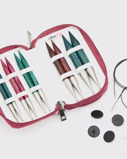Dreamz IC Circular Needle Set Chunky