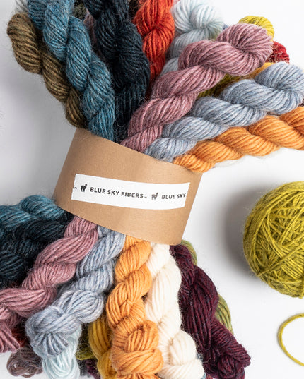 Woolstok Light 27 Color Bundle