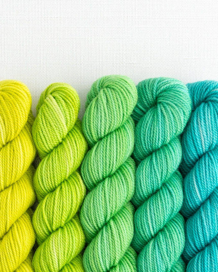 Party of Five / Tough Love / Mini-Skein Set