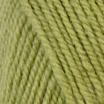 Encore Worsted