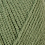 Encore Worsted