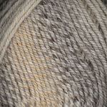 Encore Worsted Colorspun