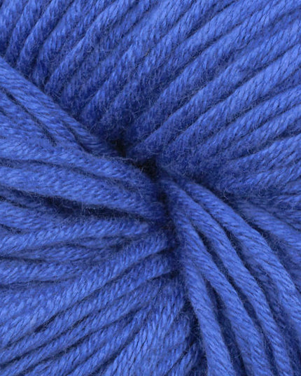 Modern Cotton